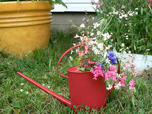 New Watering Can and Flowers