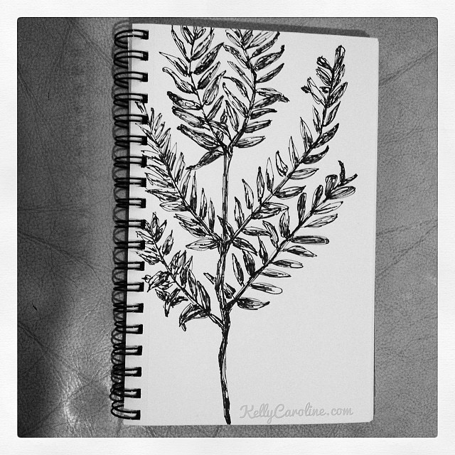 Fern study tonight in the sketchbook #kellycaroline #drawing #ink #fern #art #artist #michigan #design #sketchbook #sketch #sharpie #paper #botany #study #blackandwhite #tattoo #tattoos #tattoodesign
