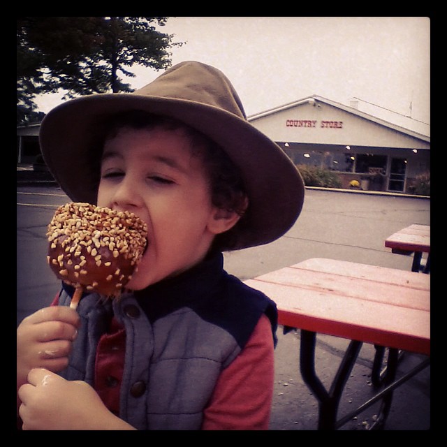 It's that time of year  #wiards #countrystore #ypsi #ypsilanti #michigan #fall #carmel #carmelapple #season #outside #apple #cute #judah #autumn #applepicking #picnic