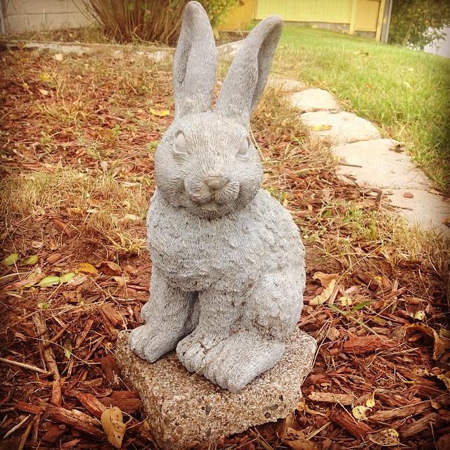 Autumn in my yard#rabbit #statue #friend #autumn #fall #outside #ypsi #ypsilanti #michigan #bunny #stone #yard #decor #decoration