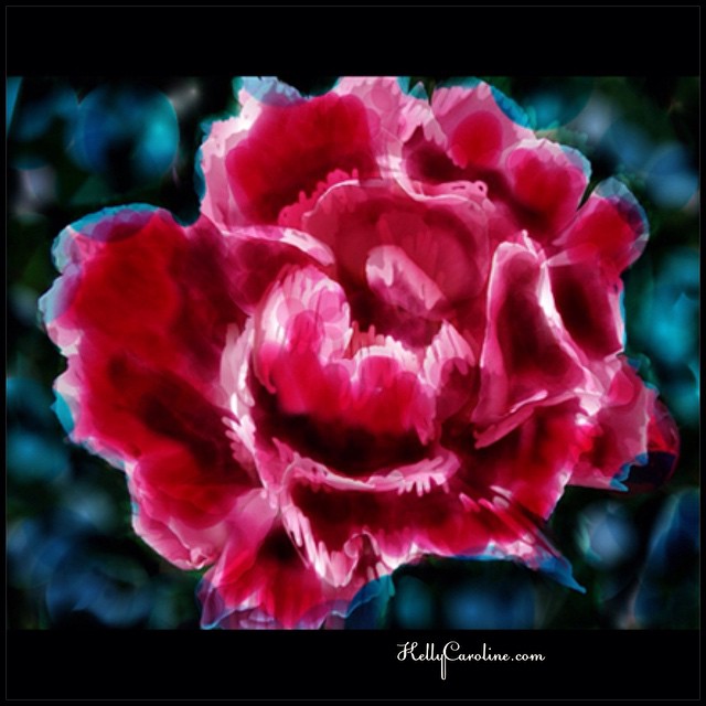 Some digital artwork today – i need peonies in the middle of winter @art_we_inspire