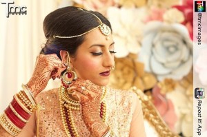 henna michigan indian bridal henna artist mehndi, bridal henna designs, henna michigan